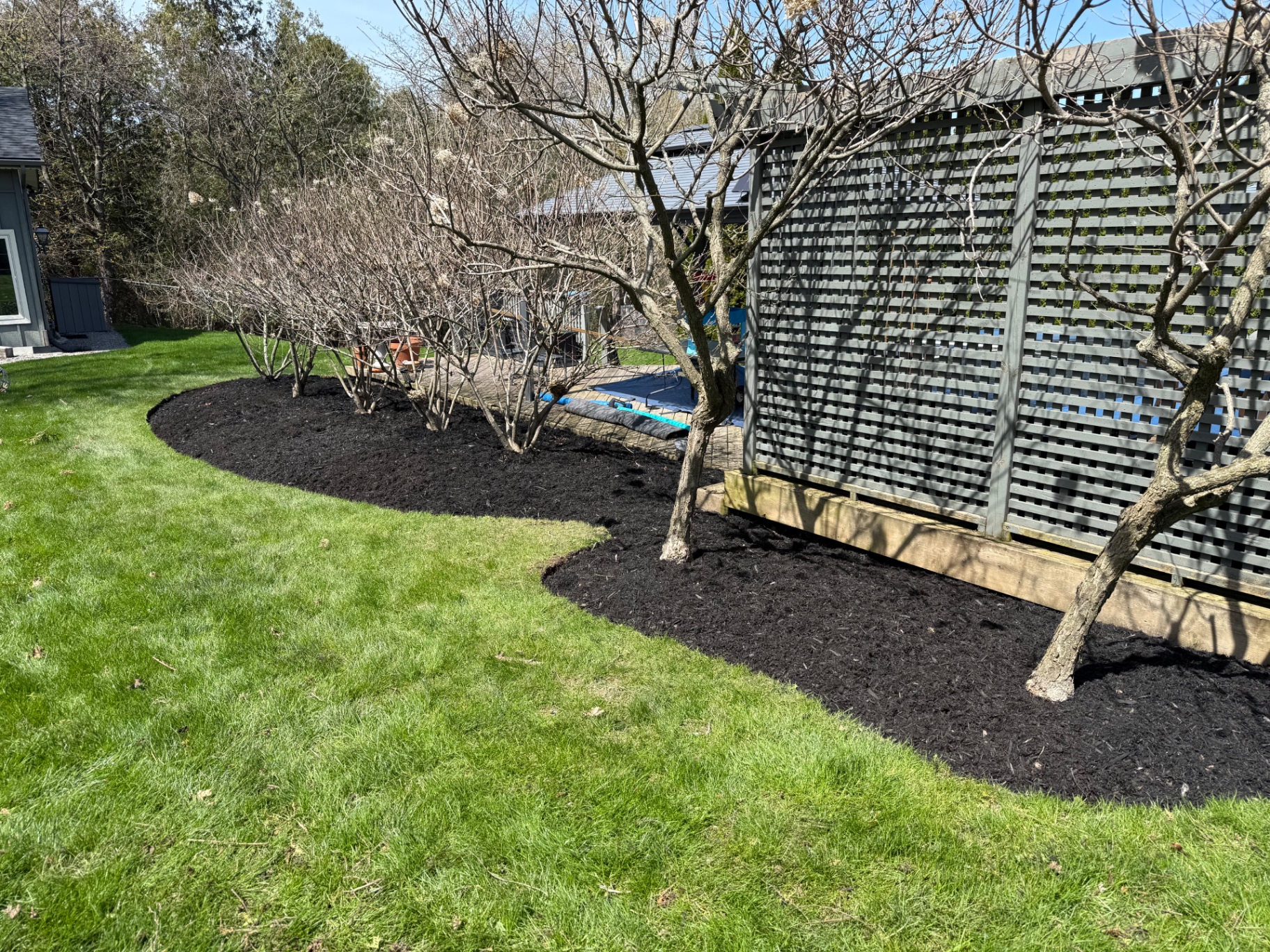 After — Backyard fence-line mulch install in Ancaster — partially mulched bed finished with fresh black mulch and a crisp curved edge along the lawn