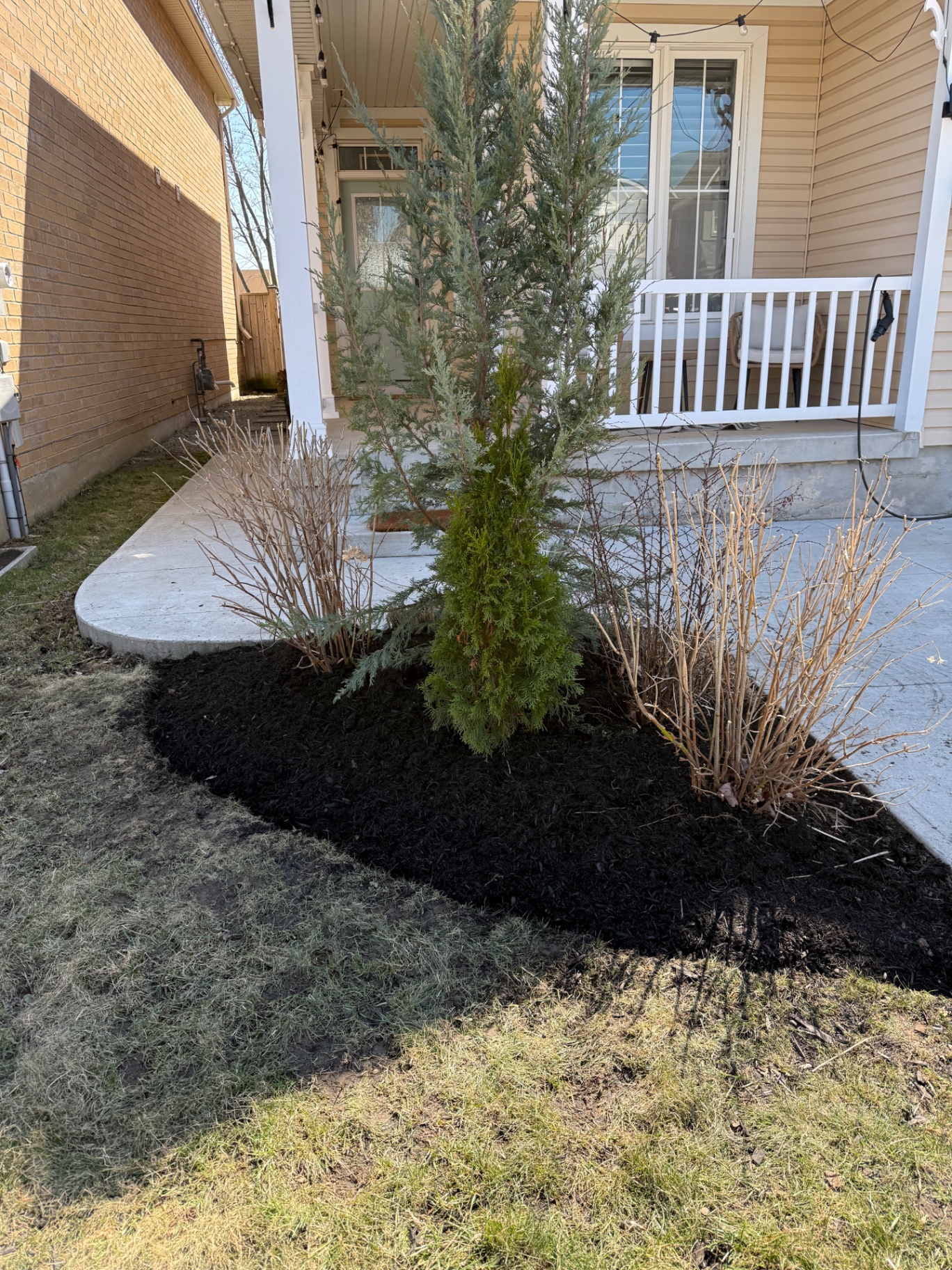 After — Front porch landscape construction in Ancaster — tired shrub bed refreshed with clean edging and fresh black mulch