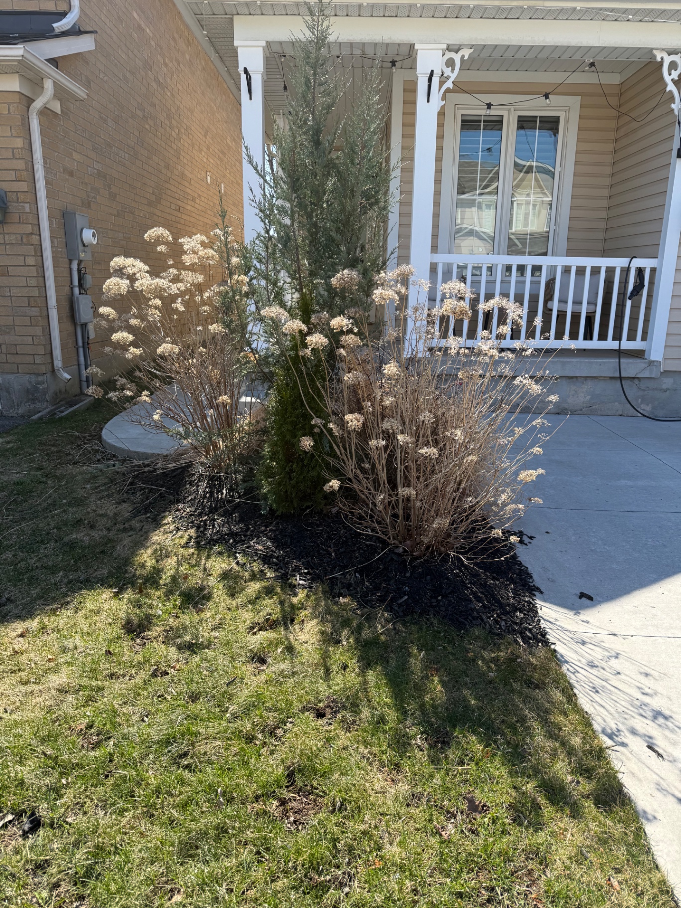 Before — Front porch landscape construction in Ancaster — tired shrub bed refreshed with clean edging and fresh black mulch