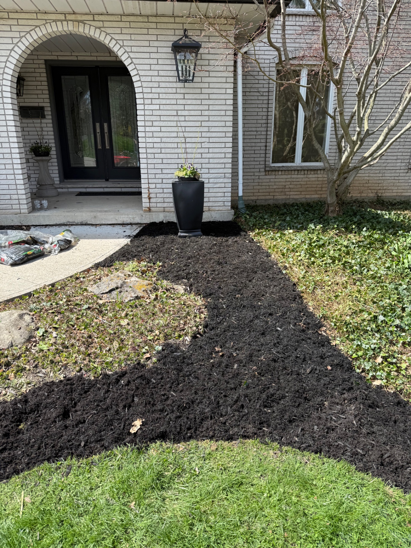 After — Front walkway landscape construction in Ancaster — overgrown ivy and patchy groundcover replaced with a clean, freshly mulched garden bed