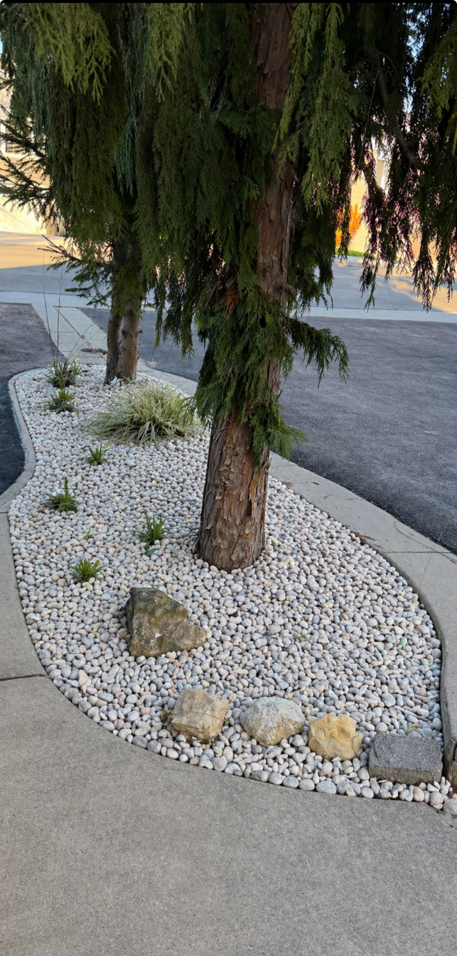 After — Landscape construction in Ancaster — overgrown tree bed transformed with fresh river rock and clean edging