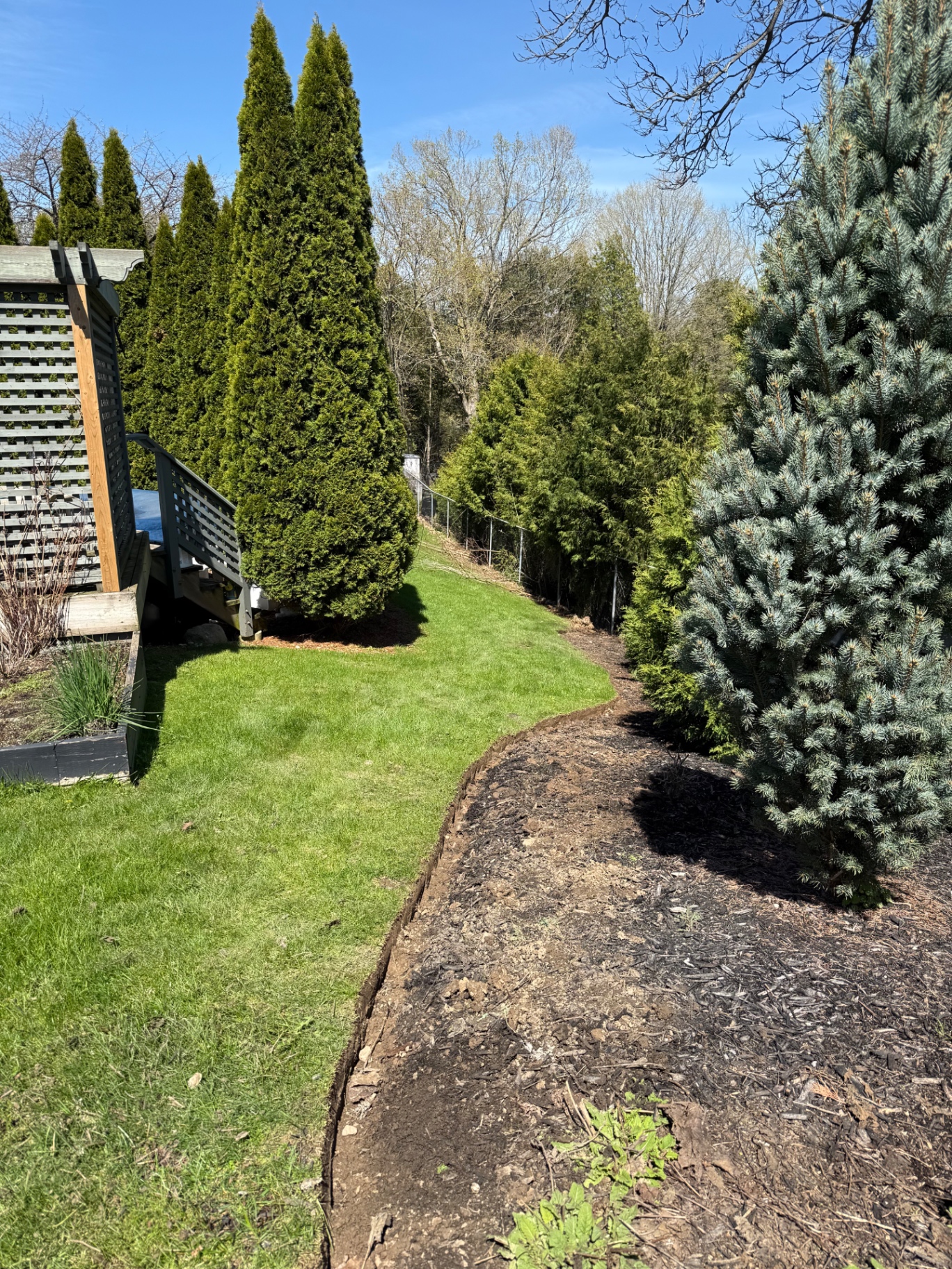 Before — Side-yard cedar hedge mulch install in Ancaster — bed prepped with hand-cut edging then finished with fresh black mulch