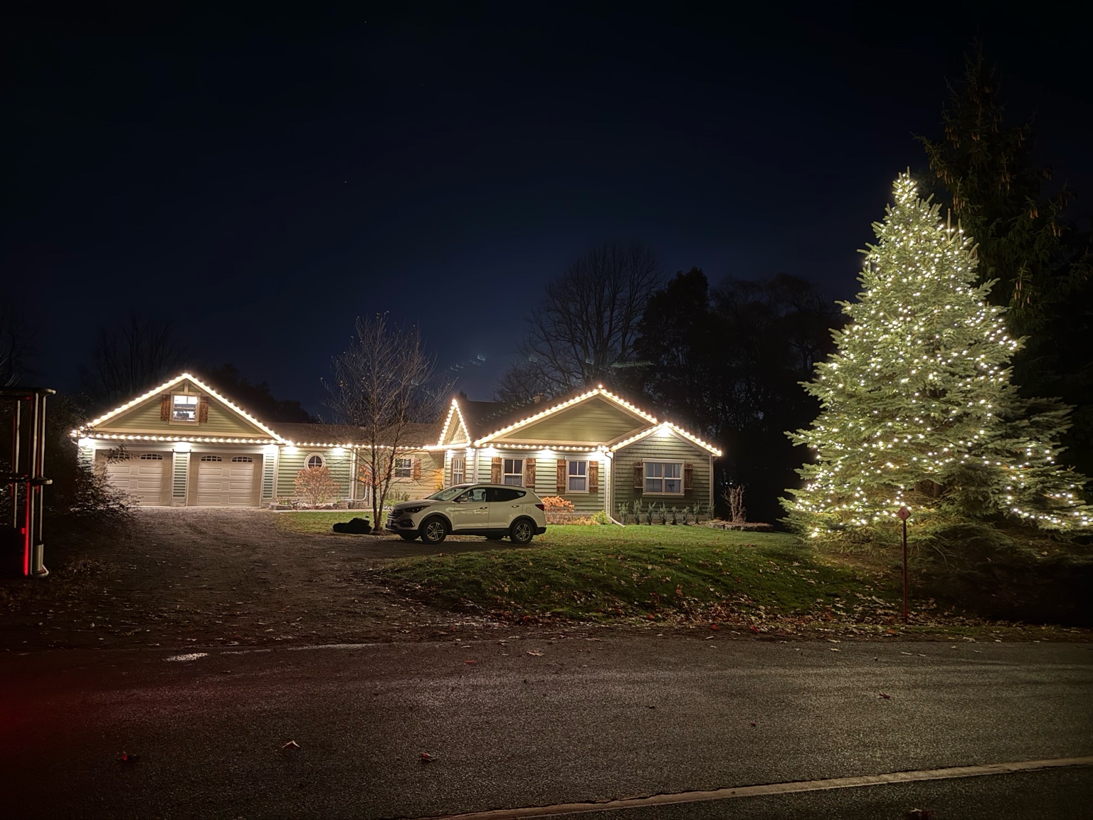 Large tree and house Christmas light display installed in the Hamilton area