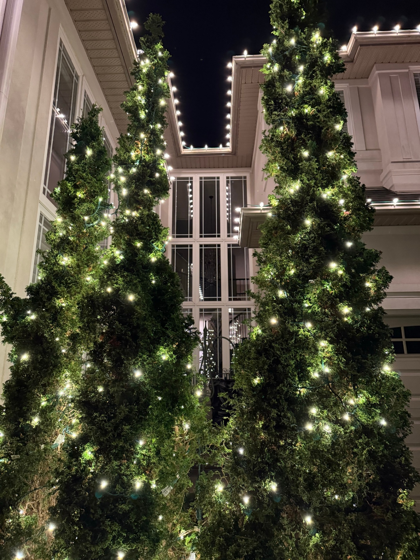 Warm white Christmas lights wrapped around trees on an Ontario property