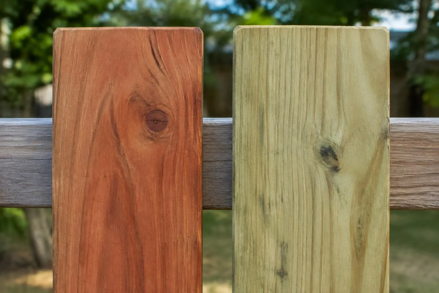 Design concept: cedar and pressure-treated fence boards side by side (generated illustration)