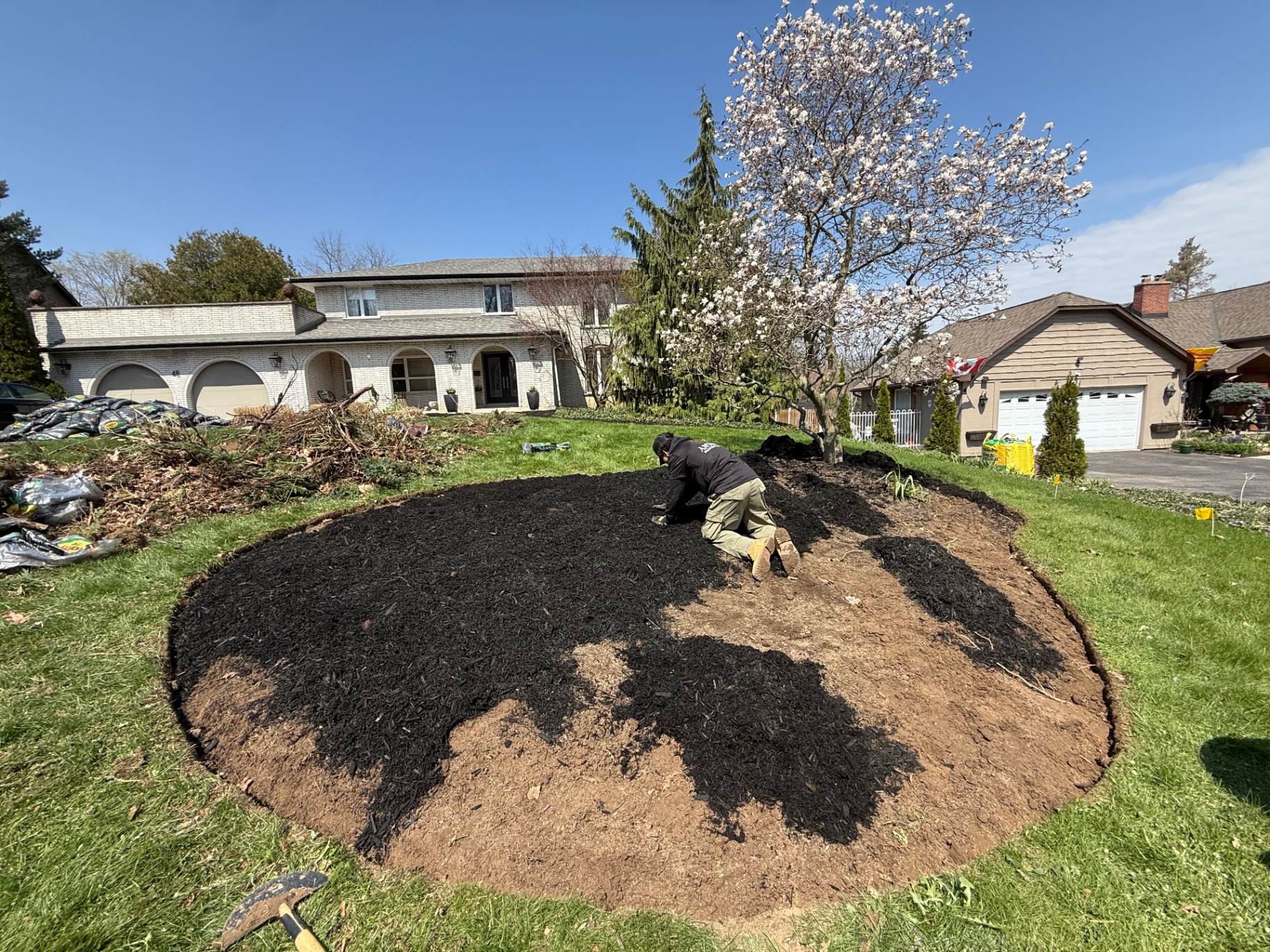 Antoine Landscape Contractors crew member installing fresh black mulch on an Ancaster garden bed