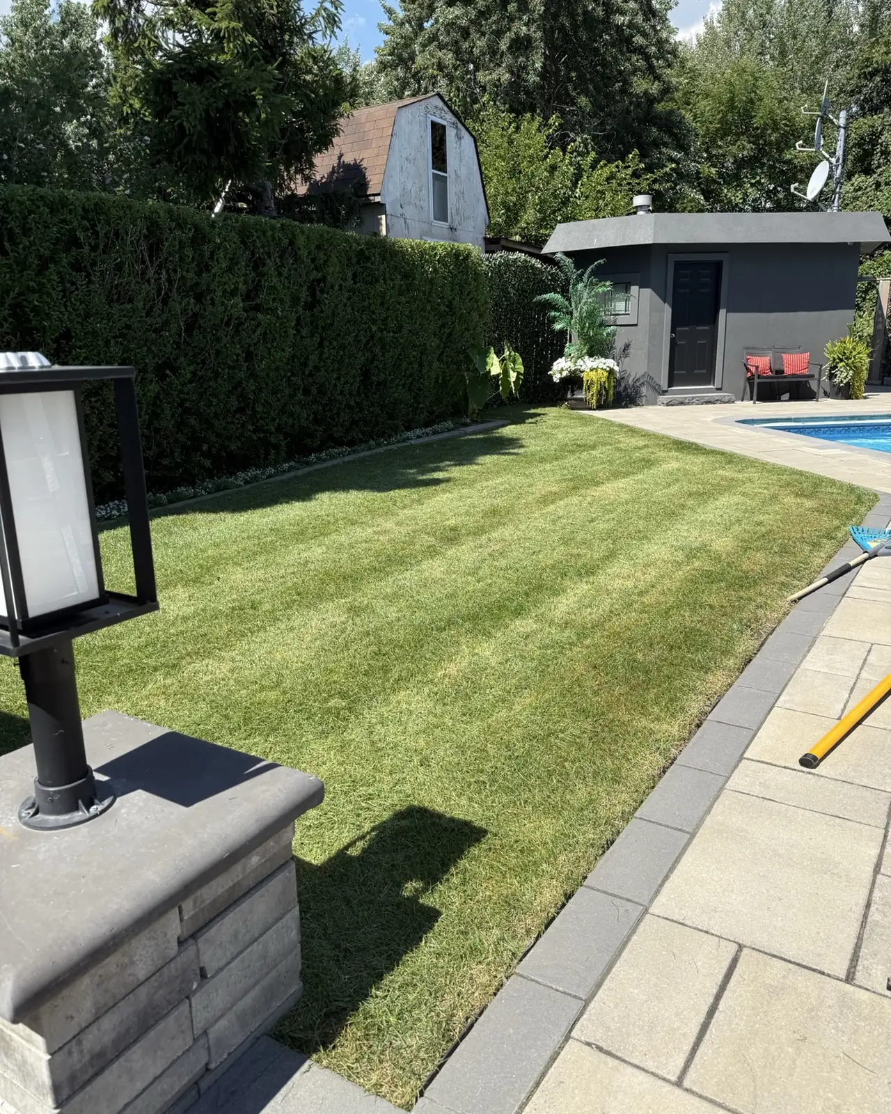 Level backyard lawn beside a paved pool terrace and cedar hedge